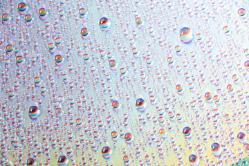 Wall Mural - water drops on dvd media, water drops on colorful background