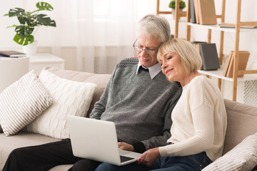 Loving senior couple websurfing on laptop computer