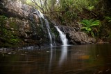 Fototapeta  - Lilydale Falls