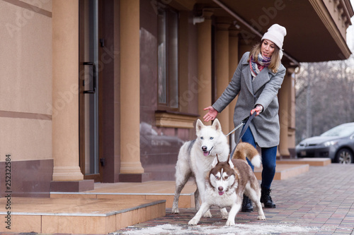 Cuadros en Lienzo Woman having troubles holding two excited husky dogs on a leash