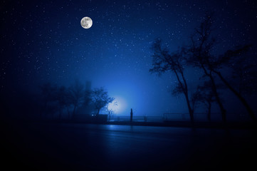Wall Mural - mountain road through the forest on a full moon night. scenic night landscape of dark blue sky with 