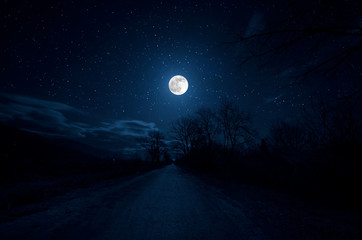 mountain road through the forest on a full moon night. scenic night landscape of dark blue sky with 