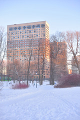 Wall Mural - City park at winter evening.