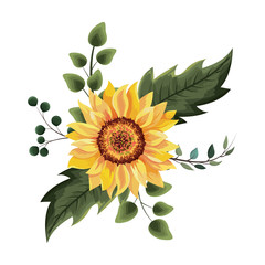 Poster - beautiful sunflower drawing