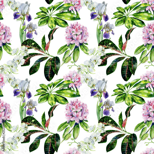 Tropical rhododendron flowers and iris seamless pattern watercolor. Interior ...
