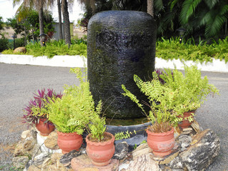 Wall Mural - Shiva lingam surrounded by green plants, Tamil Nadu, Mahabalipuram city