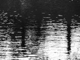 Fototapeta Kwiaty - Abstract water wave reflection