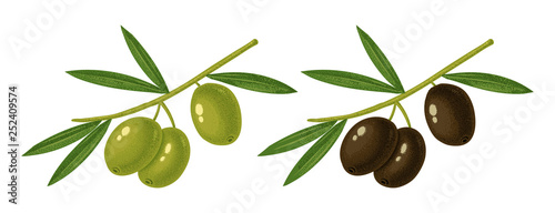 Dekoracja na wymiar  oliwki-zielone-i-czarne