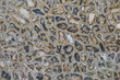 Closeup of flint wall, typical style found in Sussex.