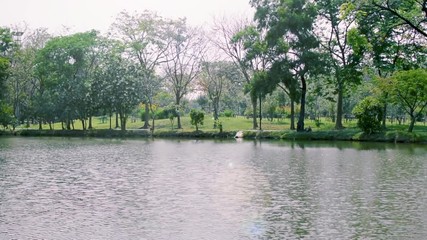 Wall Mural - Public park with trees , river and sky background in city.Beautiful green park in the city on one morning.Nature scene with flare in summer HD video