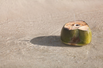 Wall Mural - Beach nature fruit coconut