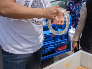 Making Technology of Chinese Traditional Special Snack Ma Sugar