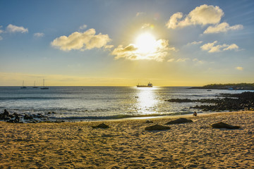 Wall Mural - Landscape galapagos island