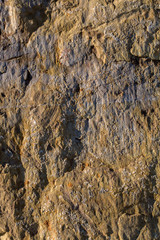 Wall Mural - stone texture or background