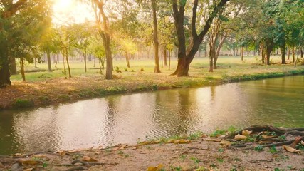 Wall Mural - Public park with trees , river and sky background in city.Lake with green park and sun light.Nature scene with flare in summer HD video