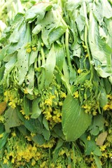 Wall Mural - Fresh choy for cooking at street food