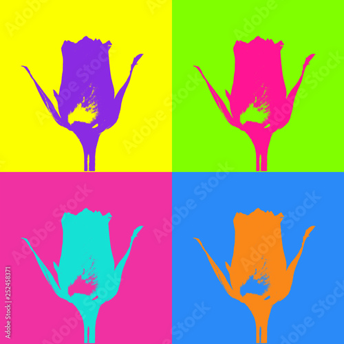 Fotografía pop art poster in style Warhol with a bright colored rose on various colorful ba