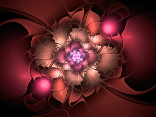 abstract flower fractal shape