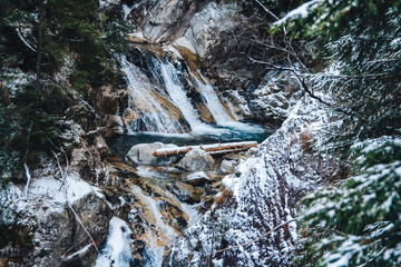 Wall Mural - winter spring fed creek waterfalls in the winter