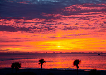 Canvas Print - A brilliant sunrise off the coast of Georgia with Palm Trees in Silhouette