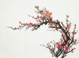  flowering branch of wild plum