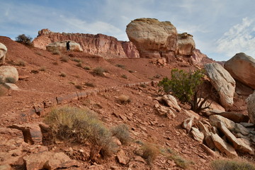 USA Nationalpark