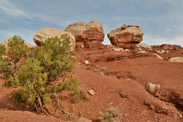 USA Nationalpark