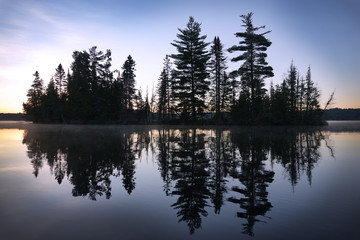 reflection silhouette of trees on the water