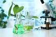 © New Africa - Laboratory glassware with plants and microscope on table, space for text. Biological chemistry