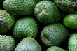 Freshly harvested tropical Colombian Soursop fruit, annona muricata, or guanabana in Medellin, Colombia