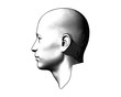 © jolygon - Engraving human head illustration on white BG