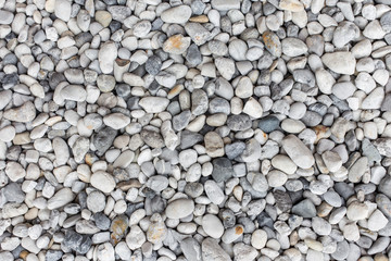 Wall Mural - pebble texture background