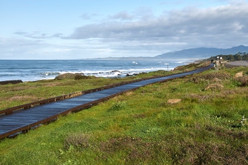 wooden footpath along california coastline