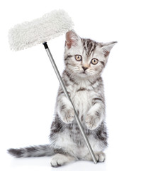 Poster - Cleaning concept. Kitten holds mop in paw. Isolated on white background
