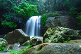 Fototapeta Na ścianę - Beautiful Waterfall in Buderim, Australia