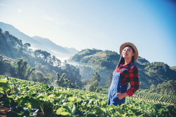 Asian women relax in the holiday. Stand photograph selfie In the Strawberry Farm. Mountain Park happily. In thailand