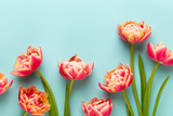Fototapeta Tulipany - Spring flowers, tulips on pastel colors background. Retro vintage style.