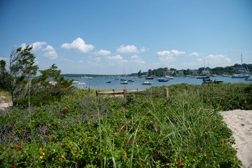 Connecticut Summer