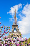 Fototapeta Boho - Eiffel tower close up, France