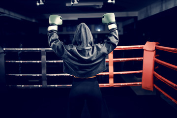 Wall Mural - Strong Caucasian boxer girl standing in ring with hands up. Hoodie and boxing gloves on. Backs turned.