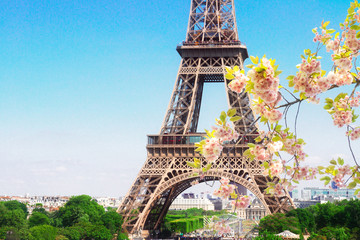 Eiffel Tower and Paris cityscape