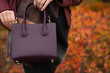 © vpavlyuk - Street fashion concept. Stylish woman holding burghundy leather purse. Space for text