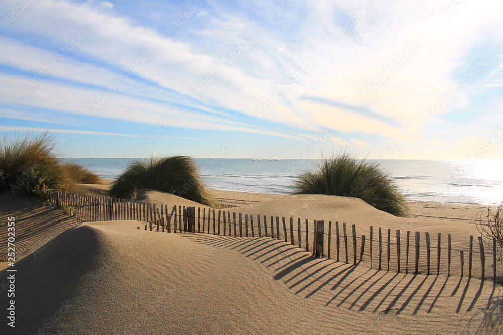 Natural and wild beach with a beautiful and vast area of dunes, Camargue region in the South of Montpellier, France - obrazy, fototapety, plakaty 