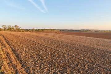 Agircutural field in late sunlight