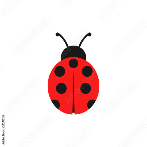 Ladybug illustration. Vector. Isolated. Poster Mural XXL