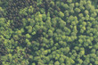 Wald-Landschaft im bayerischen Voralpenland - Luftbild