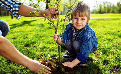 Wall Mural - Father with child holding hands. little boy helping his father to plant the tree while working together in the garden. sunday. smiling face. spring time.  volunteer with sprout for growing.