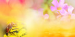 Nature yellow background banner / Abstract blur yellow flower spring bright summer