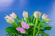 Beautiful Bouquet With Tulips, Blue Sky Background