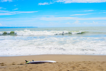 Wall Mural - Surfboard on sandy beach